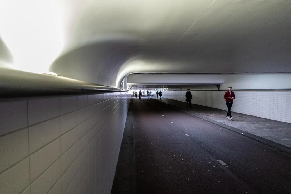Koer, Jaap: En camino
