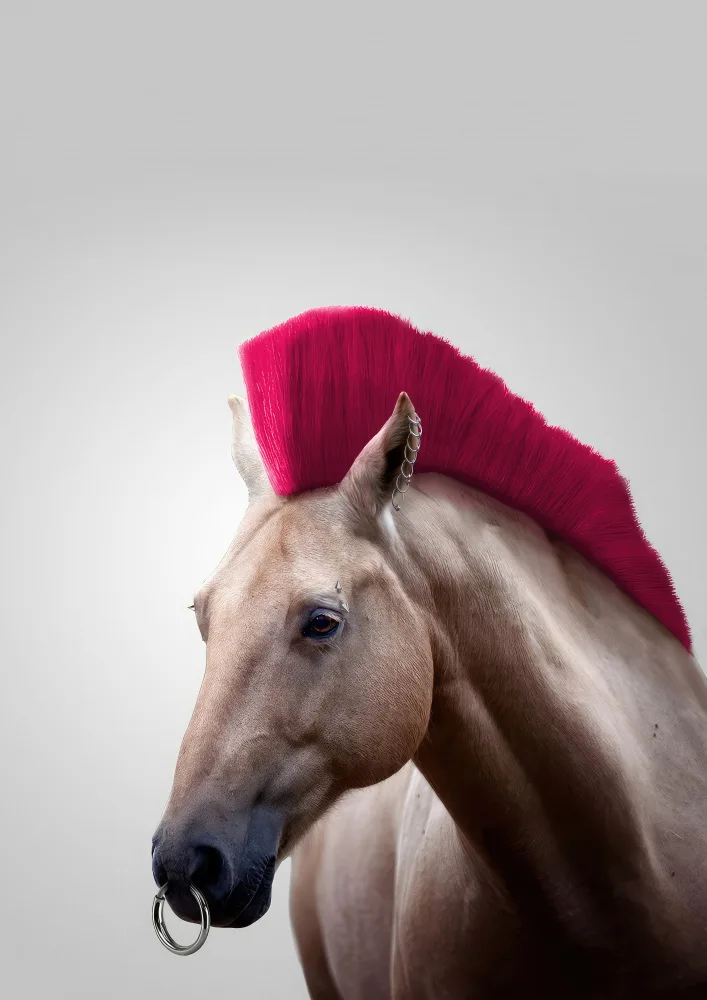 Pozdniakov, Artem: Wild Horse