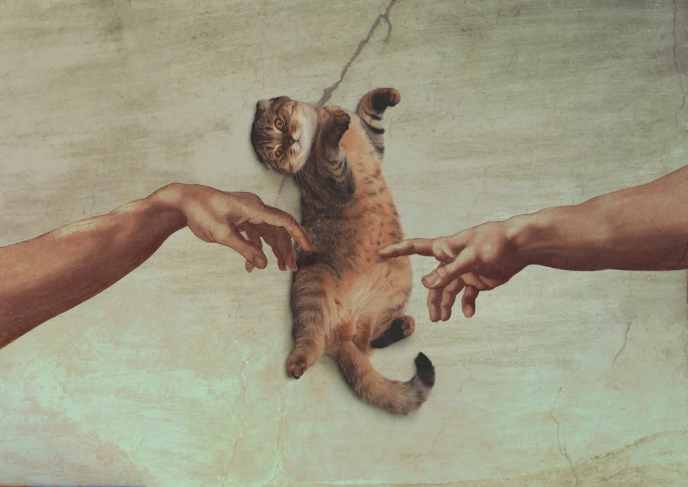 Pozdniakov, Artem: Il tocco del gattino
