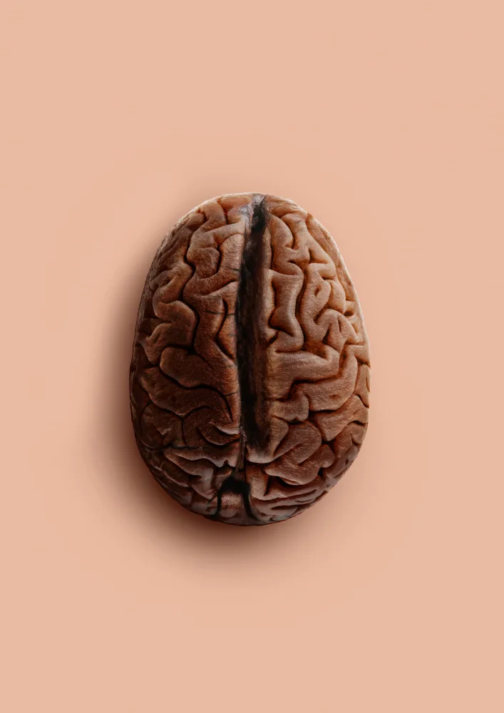 Pozdniakov, Artem: Fagiolo cerebrale
