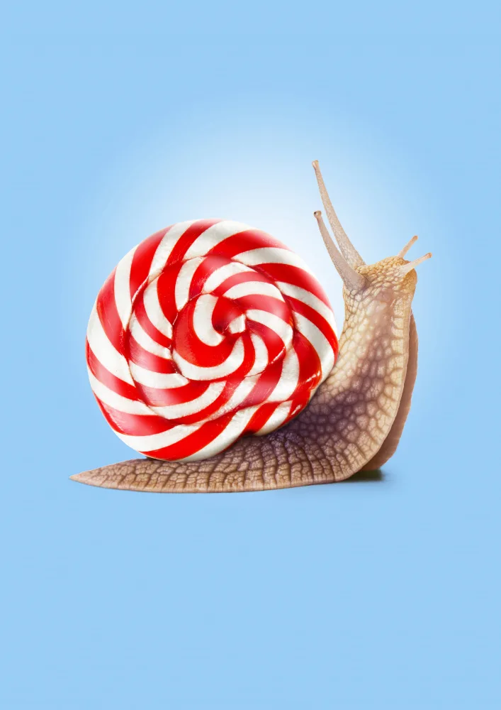 Pozdniakov, Artem: Snail Candy