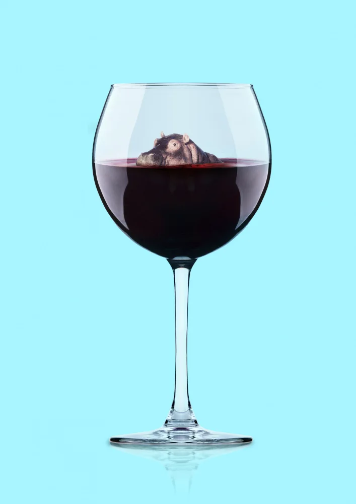 Pozdniakov, Artem: Immergersi nel vino