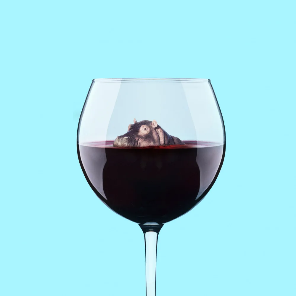 Pozdniakov, Artem: Bucear en vino