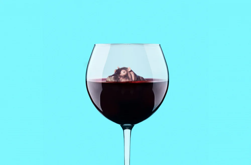 Pozdniakov, Artem: Dive in Wine