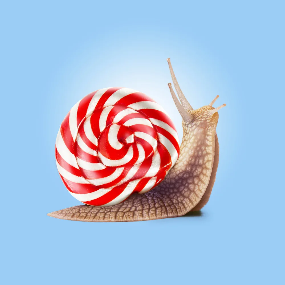 Pozdniakov, Artem: Snail Candy