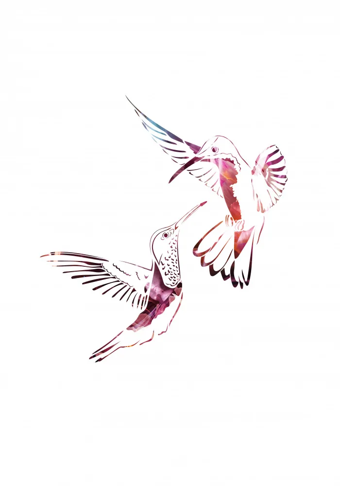 Manovski, Sarah: Colourful Hummingbirds