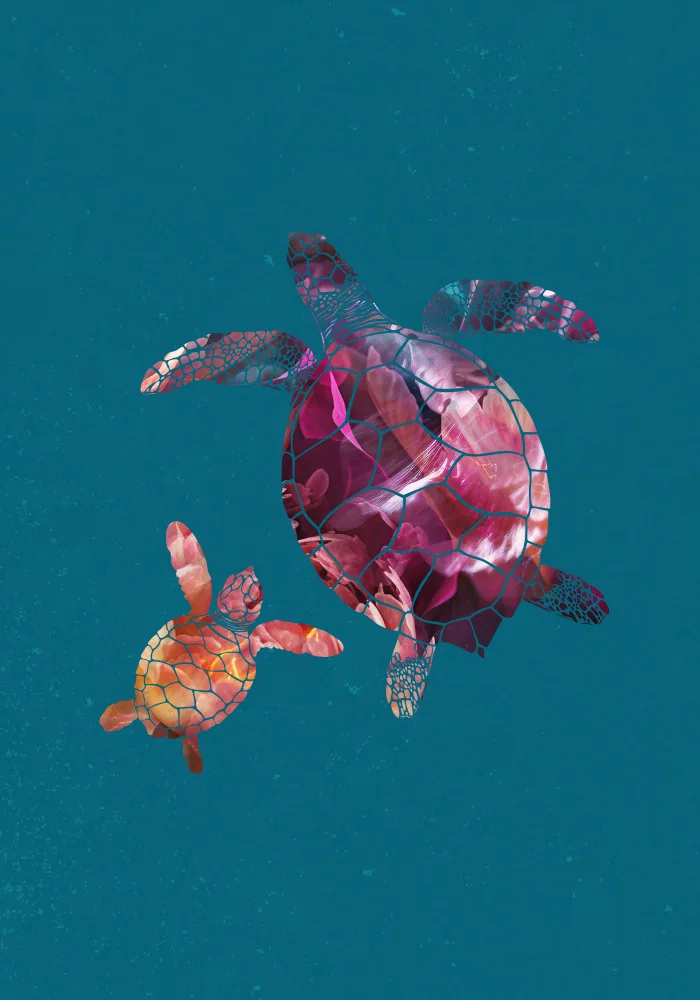 Manovski, Sarah: Colourful Turtles