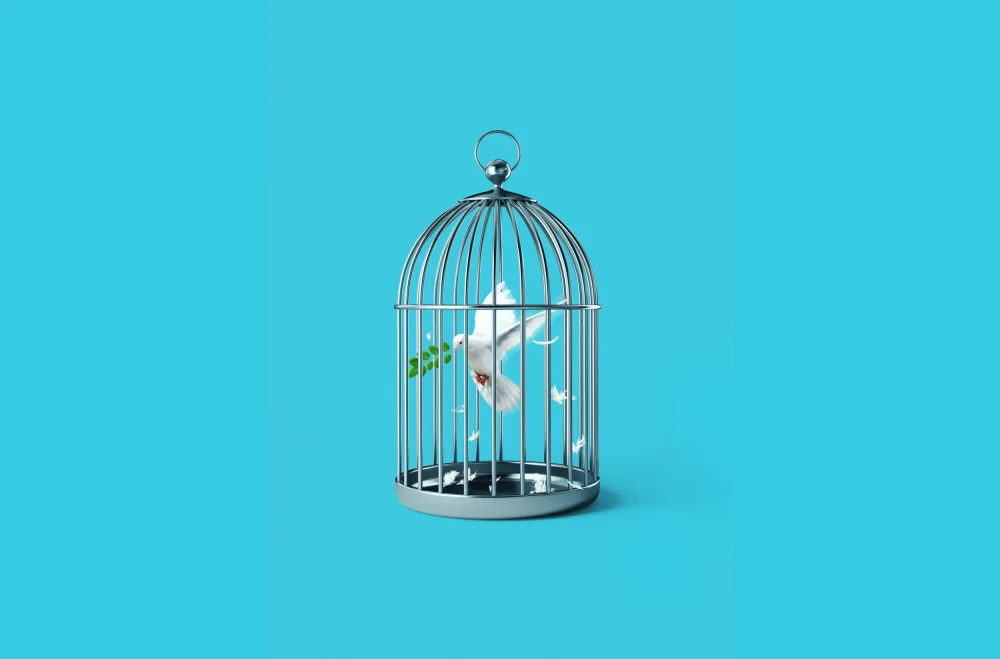 Pozdniakov, Artem: Liberare la Pace
