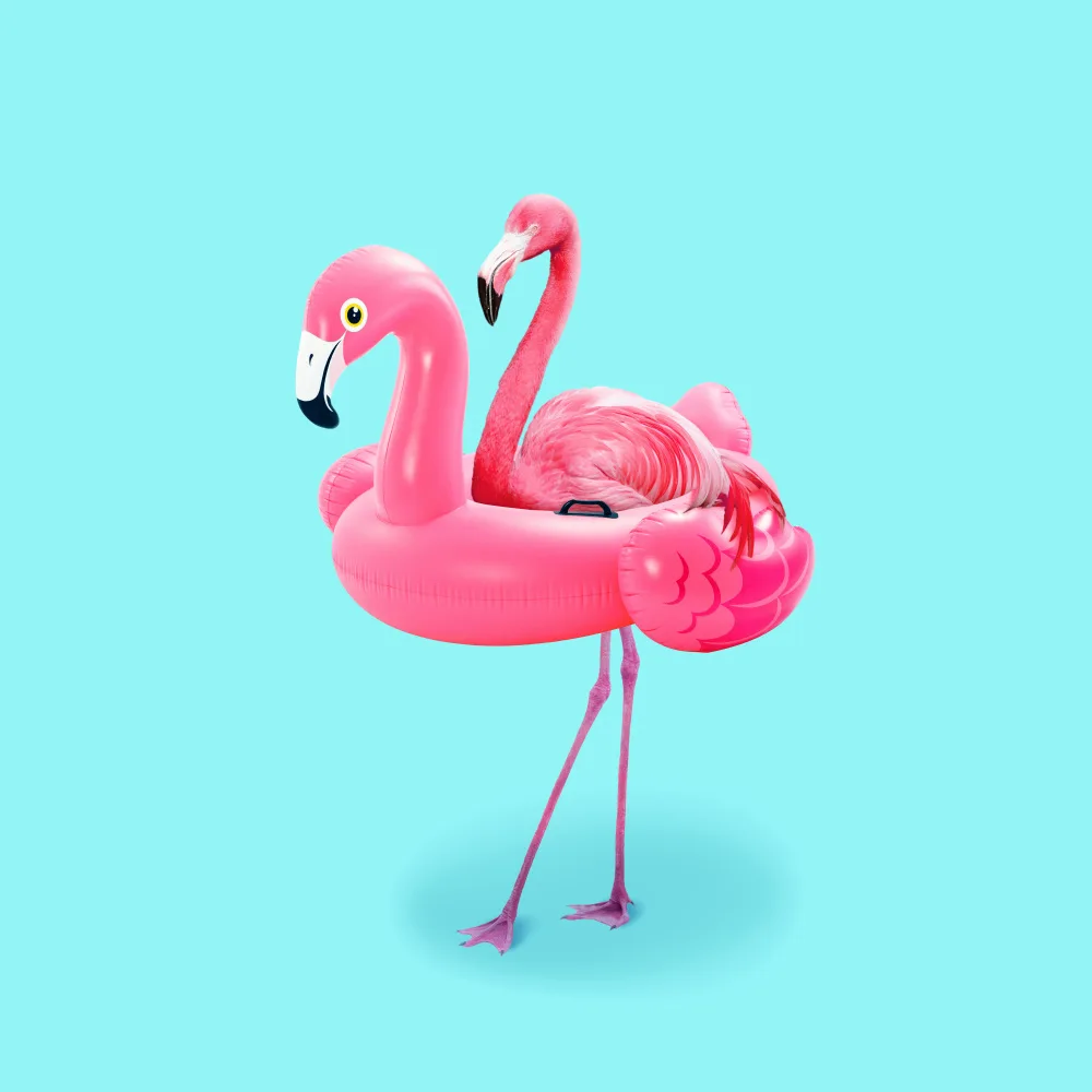 Pozdniakov, Artem: Flamingo on Resort