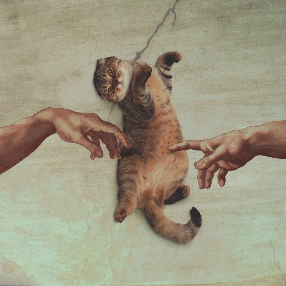 Pozdniakov, Artem: Touch of the Kitty