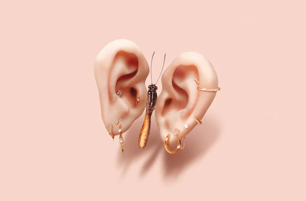 Pozdniakov, Artem: Butterfly Ears