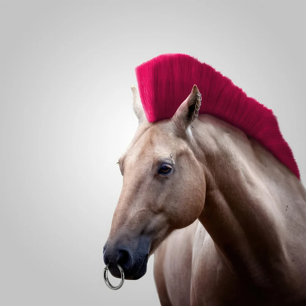 Pozdniakov, Artem: Caballo salvaje
