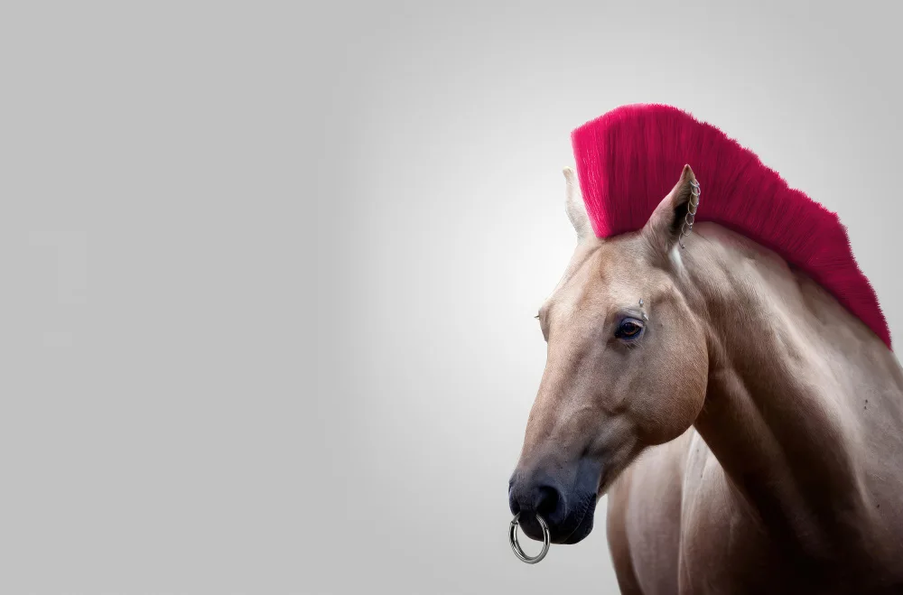 Pozdniakov, Artem: Caballo salvaje