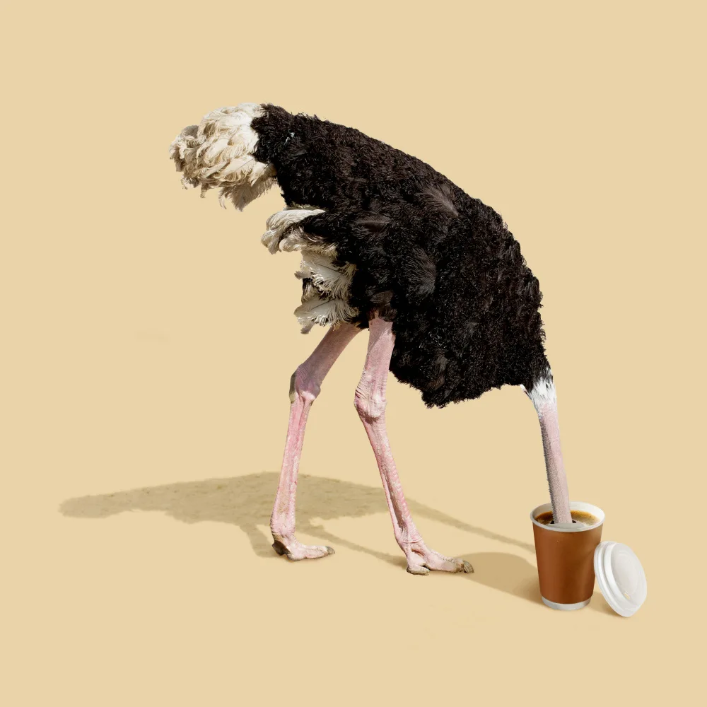 Pozdniakov, Artem: Dive in Coffee