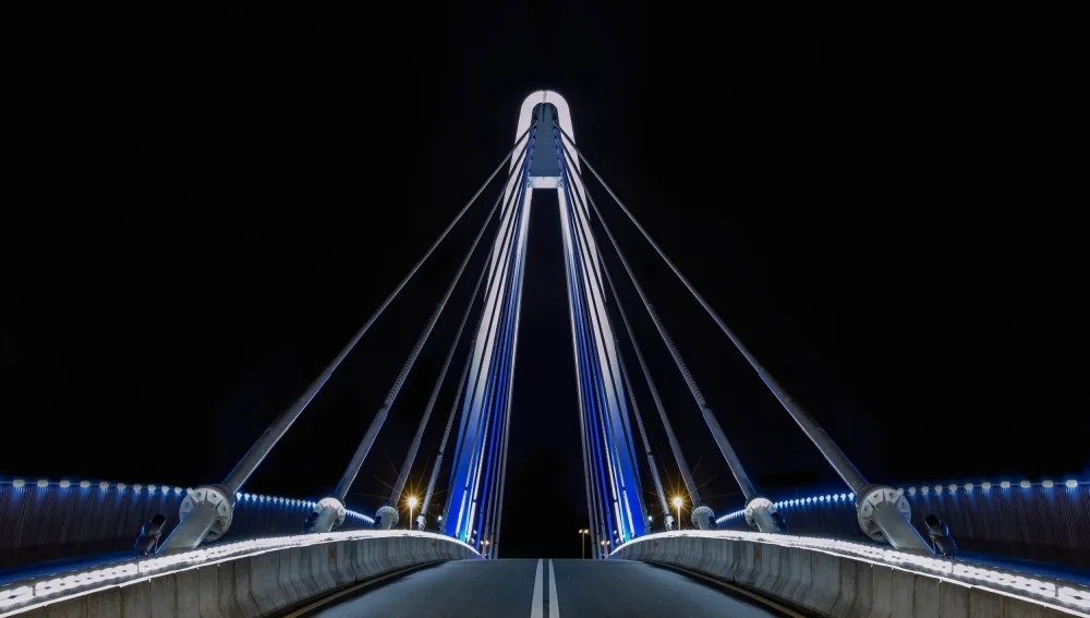Denijs, Wim: The Bridge