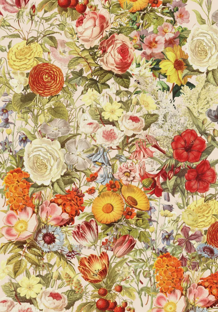 Studio, Floral Frida: Botanik