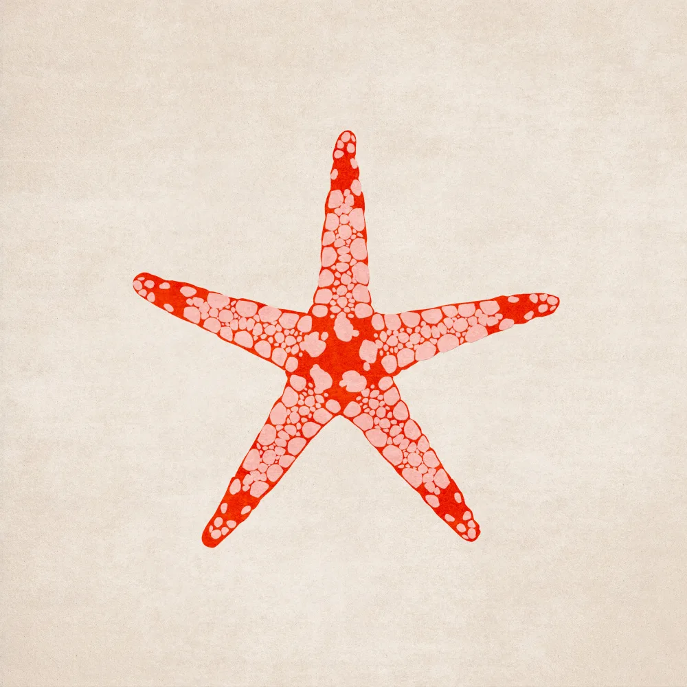 Tunaboylu, Emel: Sea Star