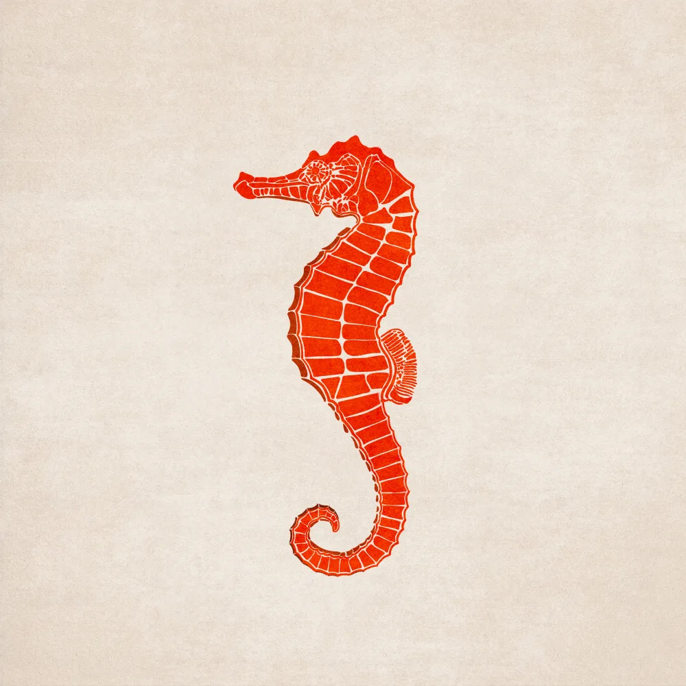 Tunaboylu, Emel: Hippocampe