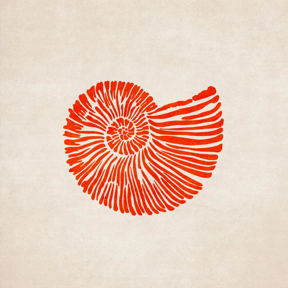 Tunaboylu, Emel: Shell