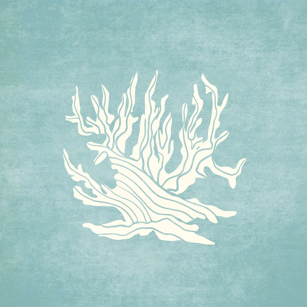 Tunaboylu, Emel: Coral