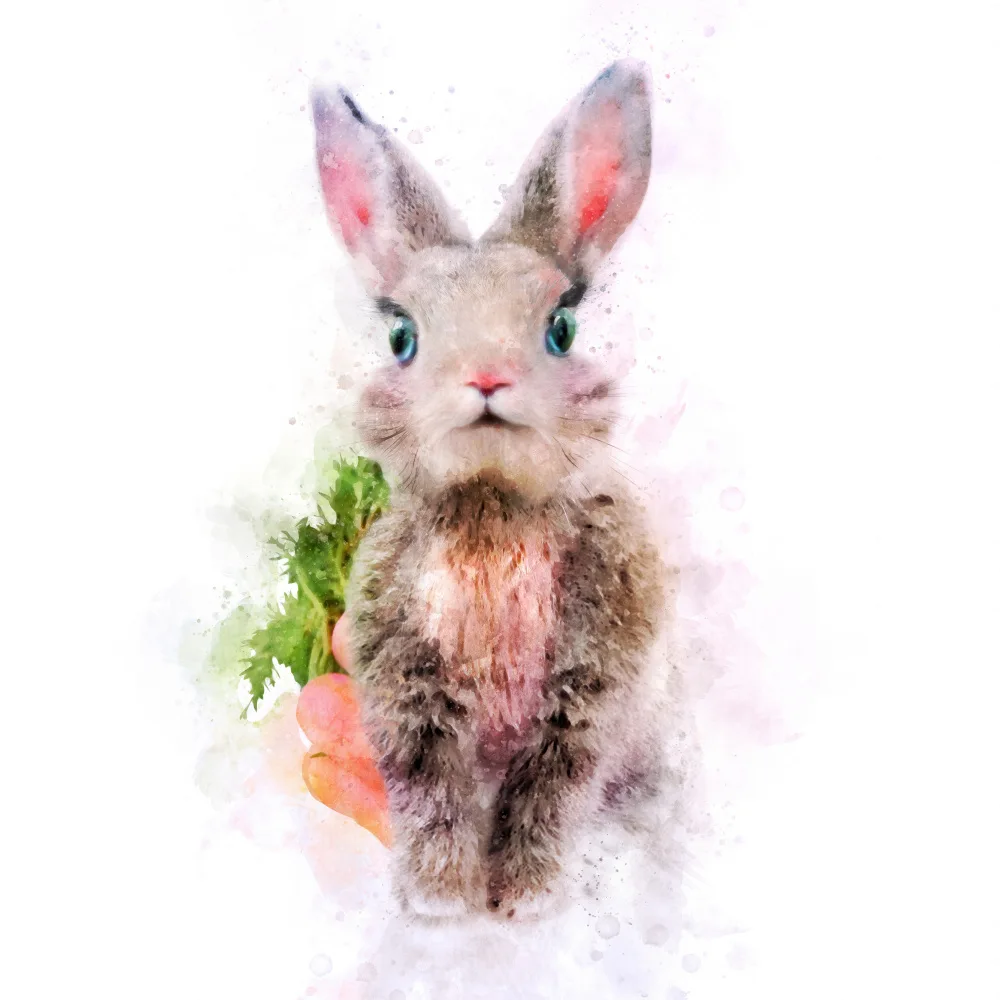 Tunaboylu, Emel: Baby Rabbit