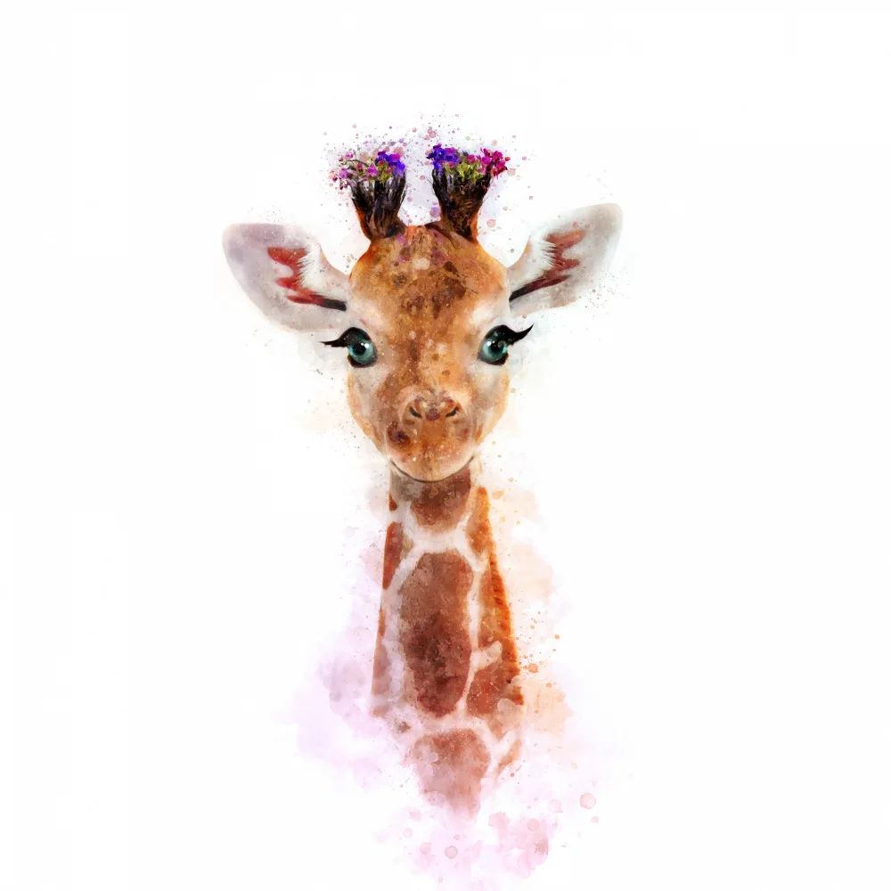 Tunaboylu, Emel: Baby Giraffe