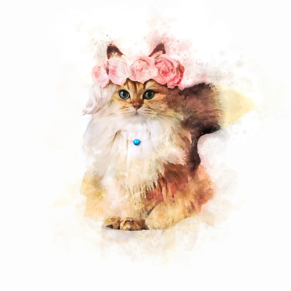 Tunaboylu, Emel: Rose Cat