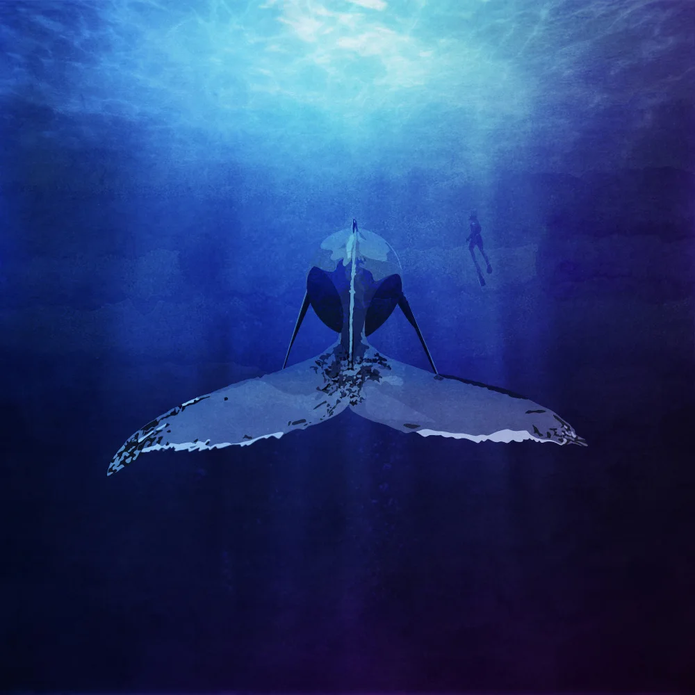 Tunaboylu, Emel: Whale