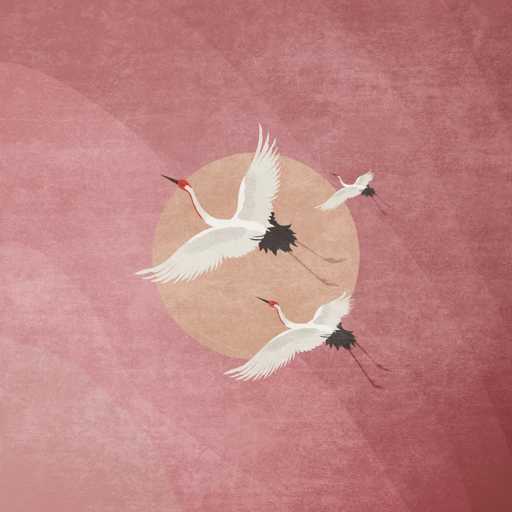 Tunaboylu, Emel: Flying Cranes