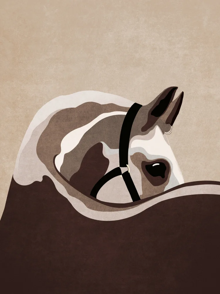 Tunaboylu, Emel: Horse02