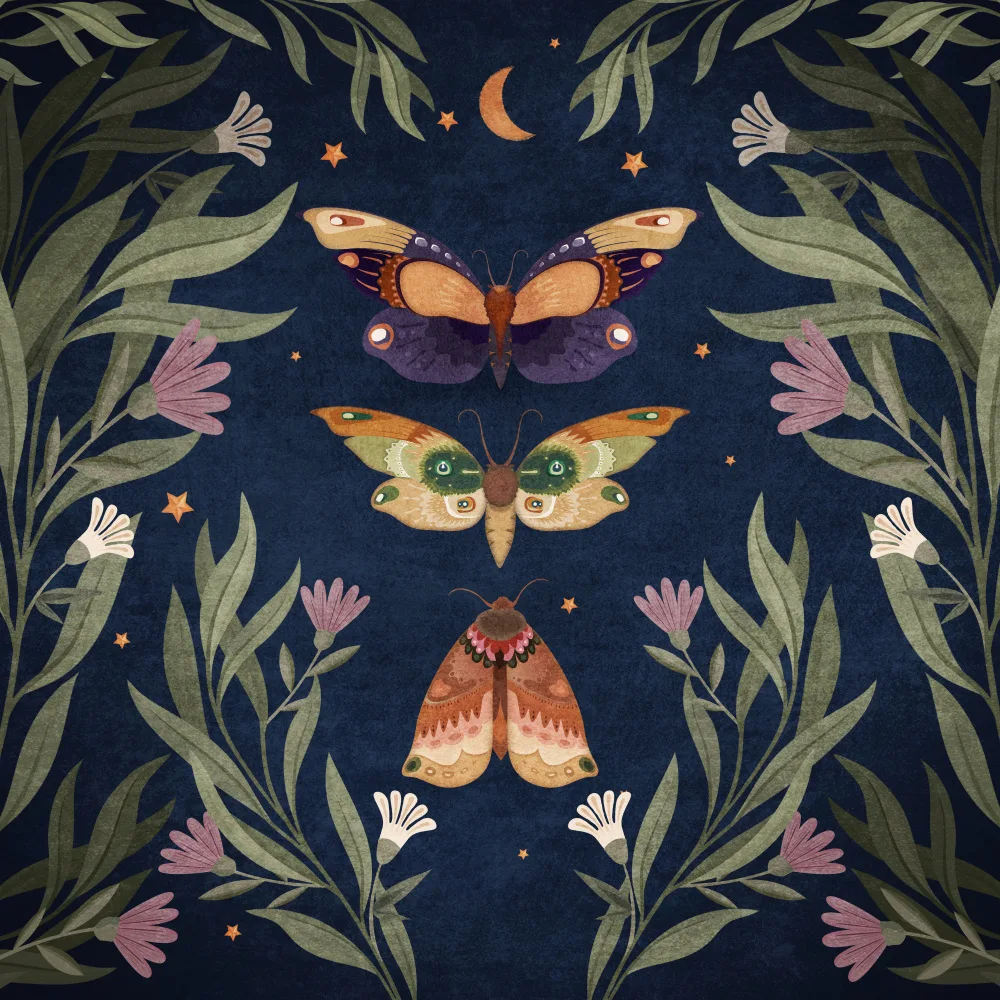 Tunaboylu, Emel: Butterfly Night Fly
