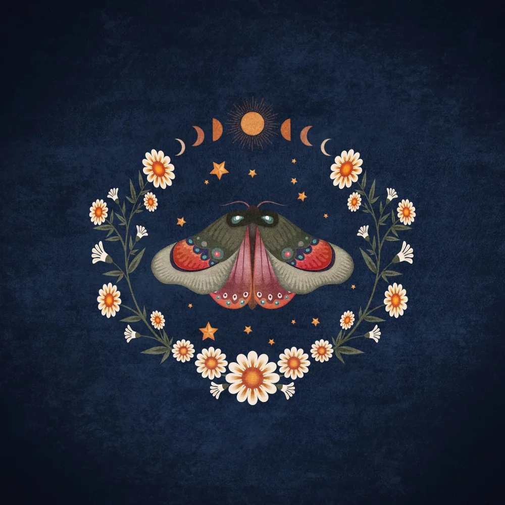 Tunaboylu, Emel: Butterfly Daisy