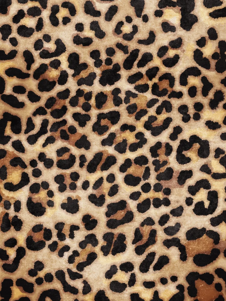 Tunaboylu, Emel: Leopard