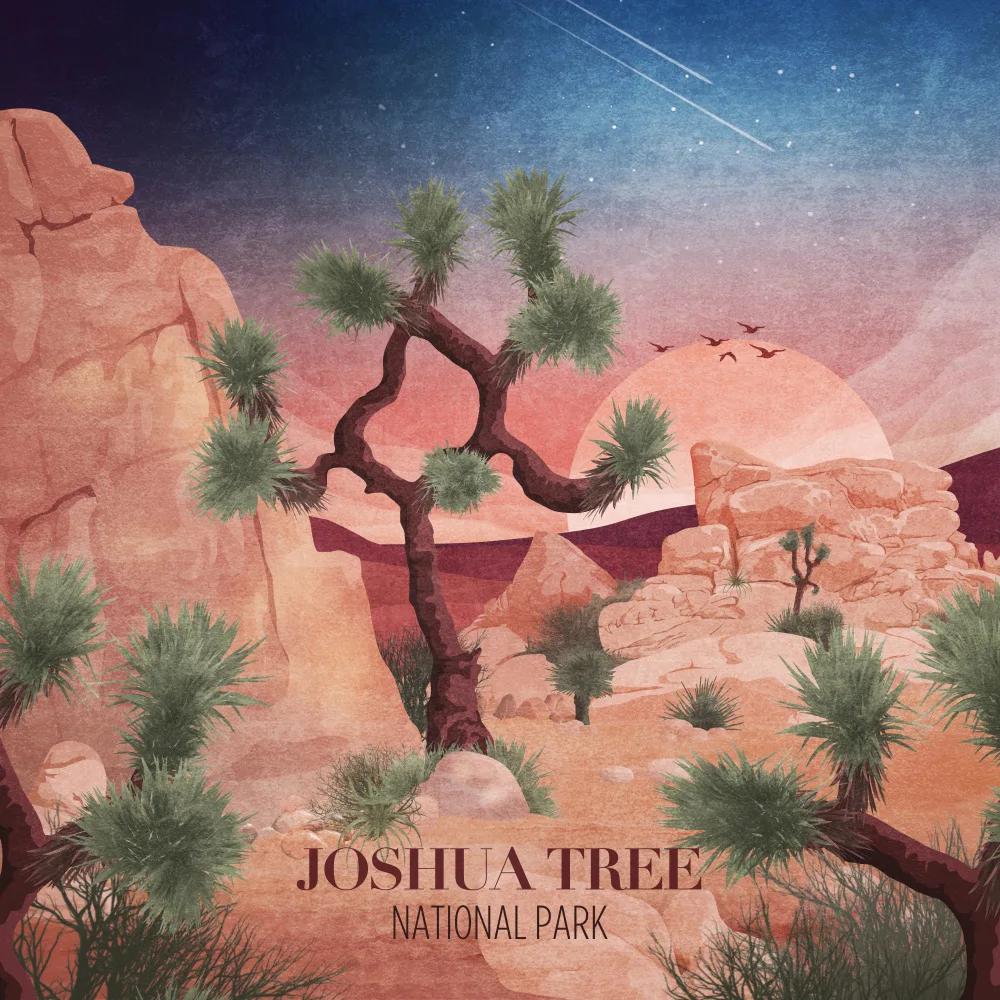 Tunaboylu, Emel: Joshua Tree