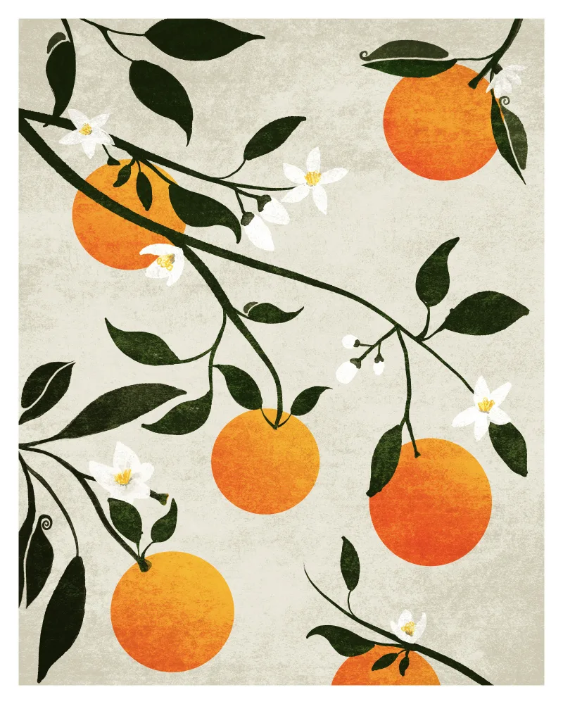 Tunaboylu, Emel: Ratio 4x5 Print By Bohonewart Copy 8