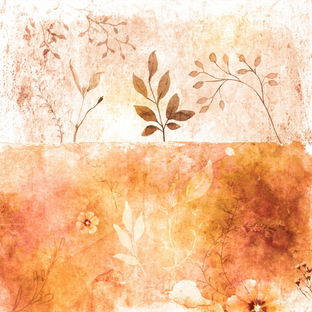 Tunaboylu, Emel: Orange Copy