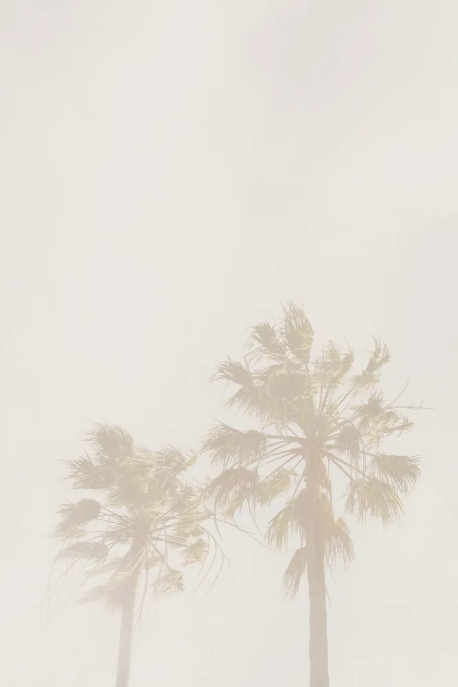 Design, Oju: Beige Palms