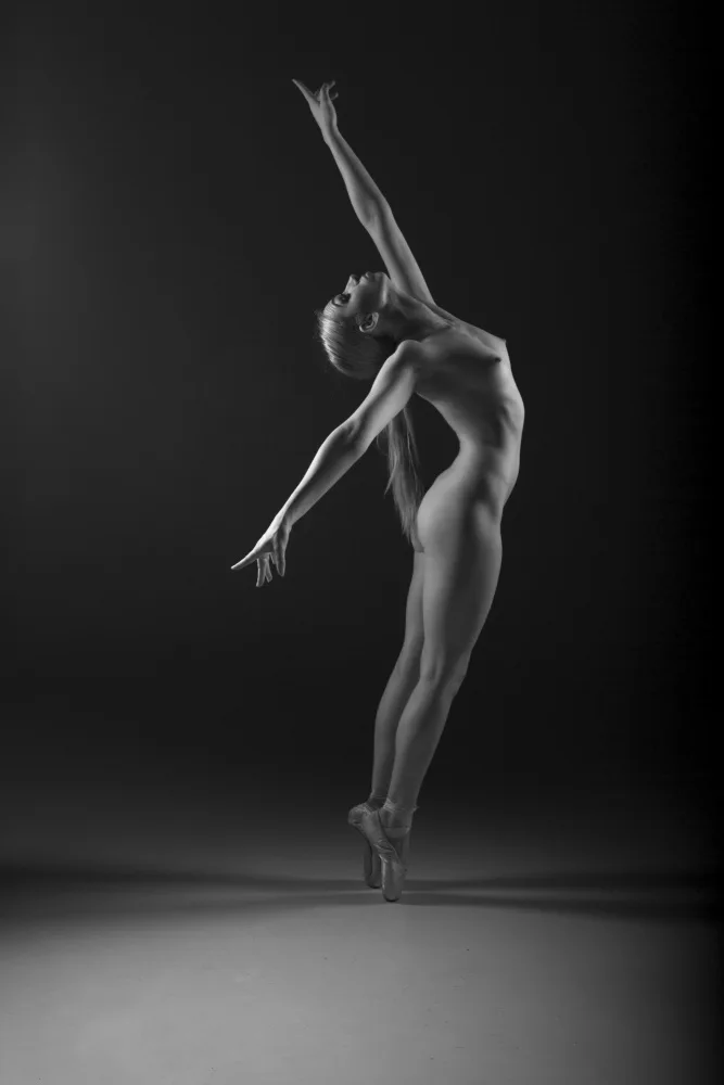 Meswani, Prashant: Kunst-Akt-Ballett