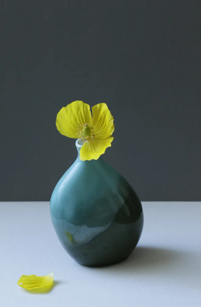 Fennell, Alyson: Yellow Welsh Poppy Still Life