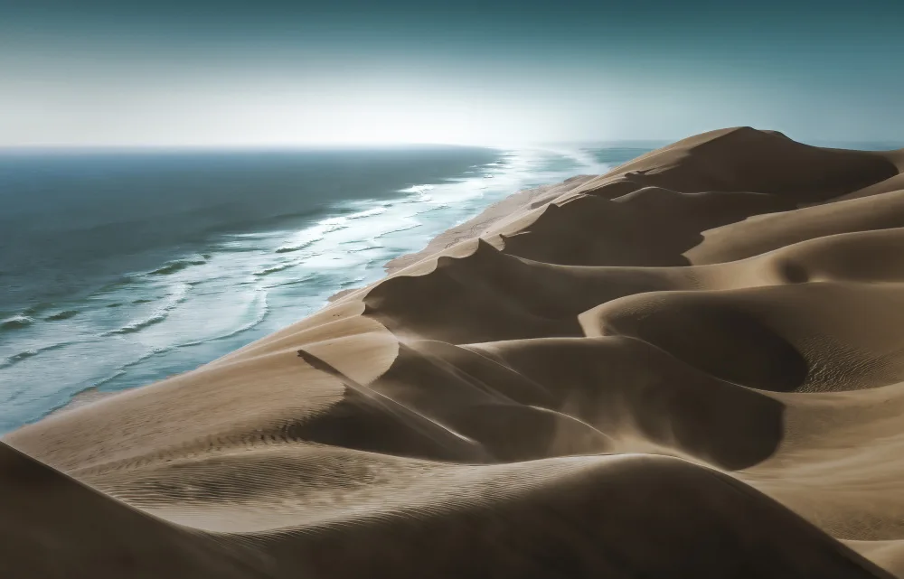 Hongchao, and Gu: EL DESIERTO SE ENCUENTRA CON EL OCÉANO