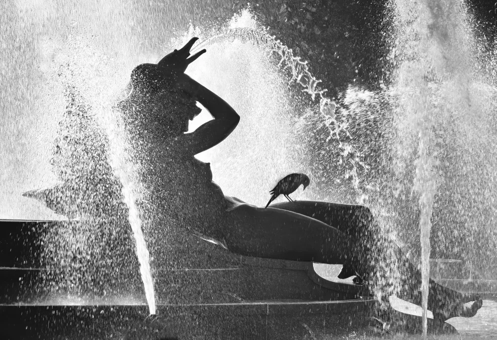 Lyons, Jane: Wet