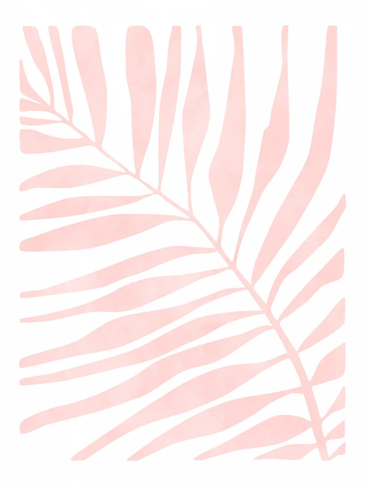 Ristova, Elena: 3x4 Aspectratio Pink41