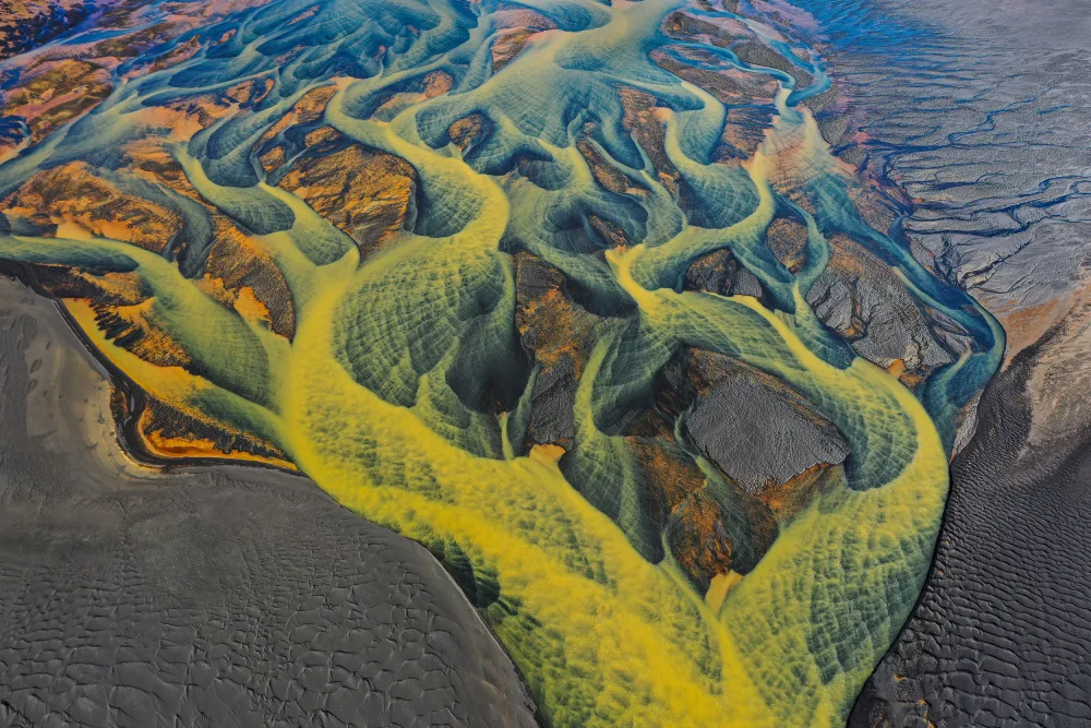 Cai, James: Veins of the Earth