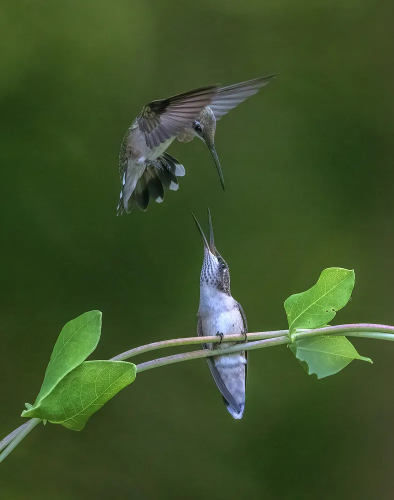 W, Deming: Mom and boy