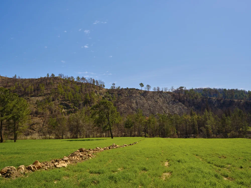 akyurt, engin: peaceful landscape in a rural place