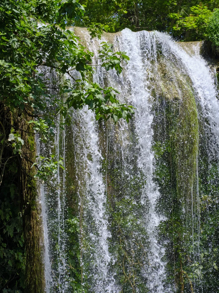 akyurt, engin: beautiful waterfall in the forest