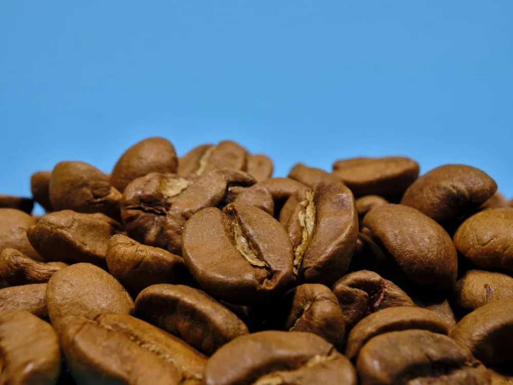 akyurt, engin: granos de café tostados