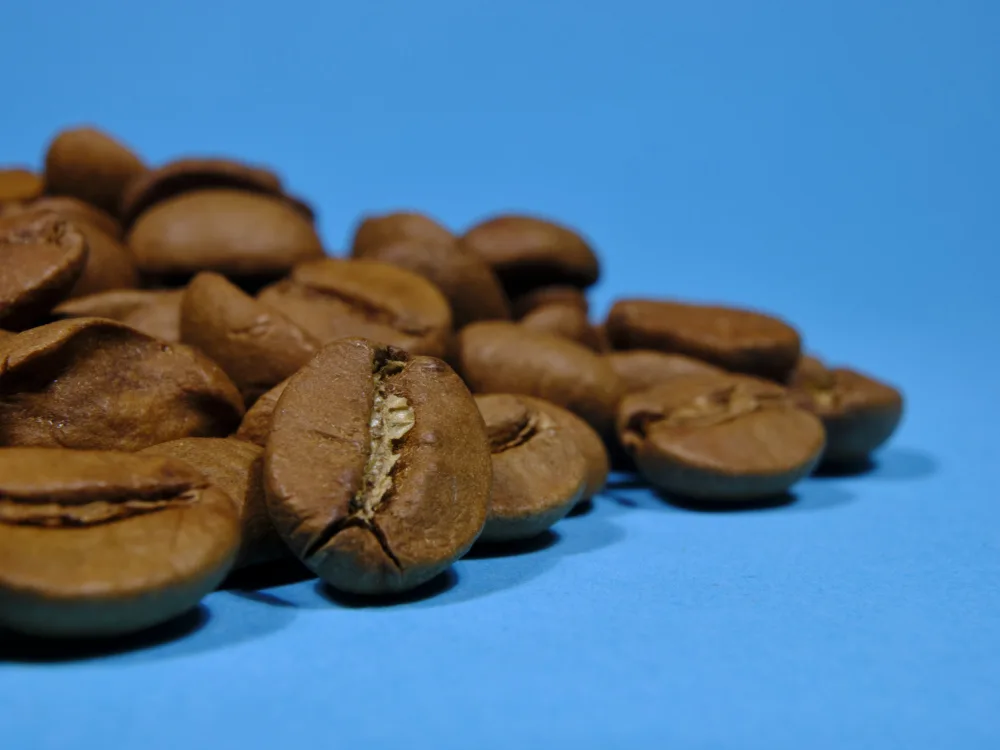 akyurt, engin: granos de café tostados