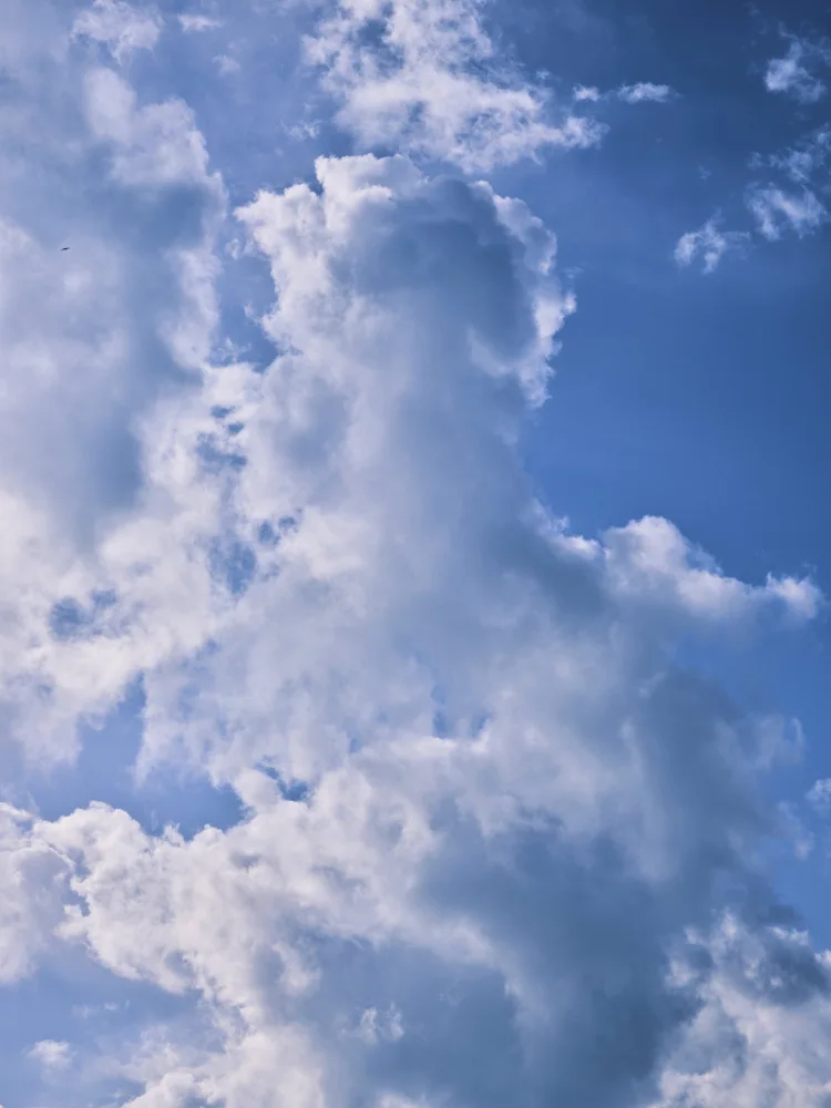 akyurt, engin: cloudy weather and sky background