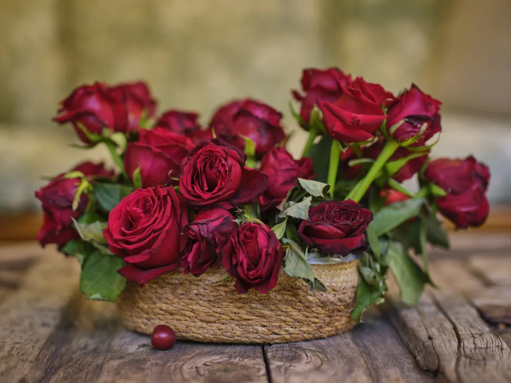akyurt, engin: romantic red roses in a wicker basket